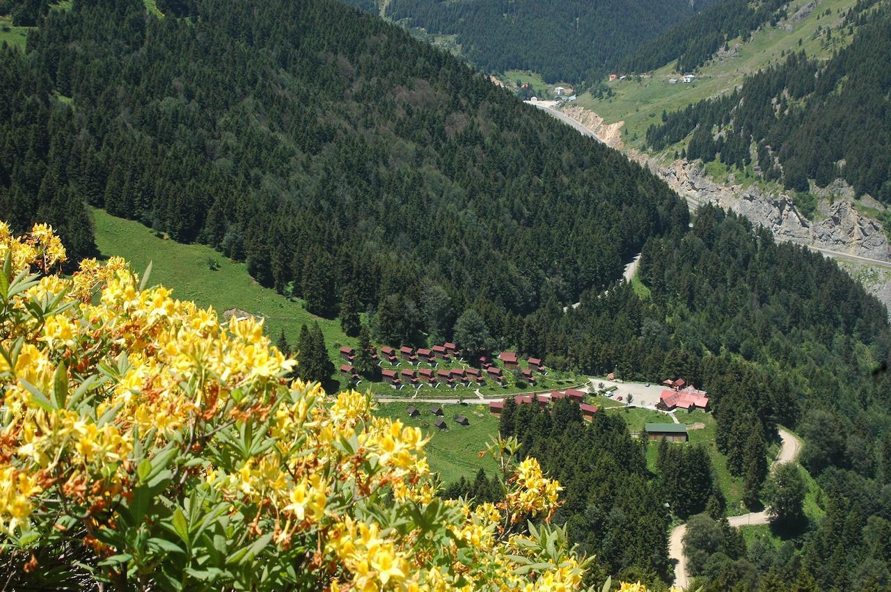 Zitas Zigana Yayla Tatil Koyu Macka 외부 사진