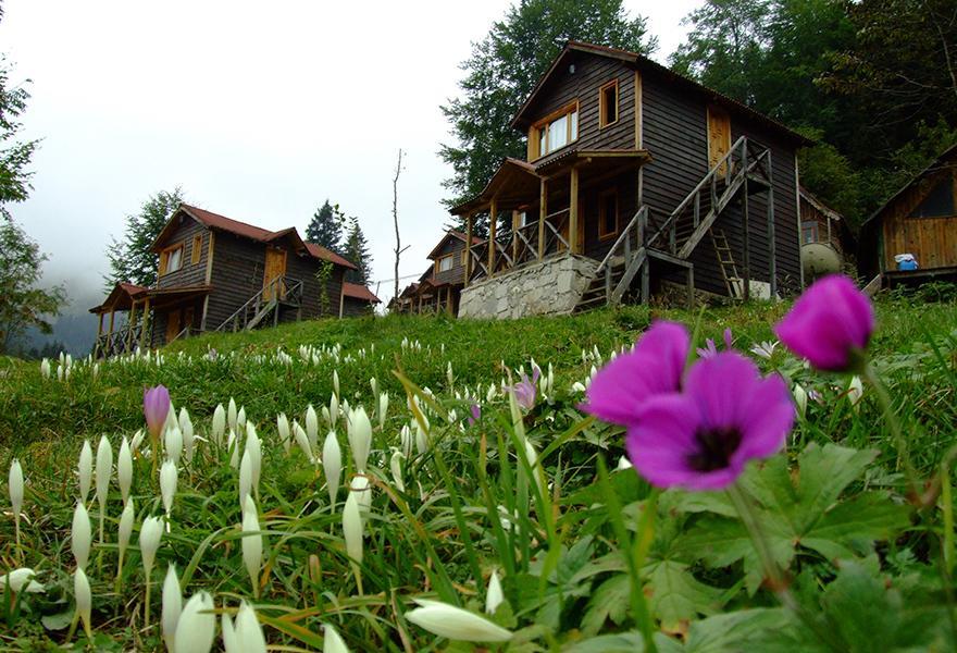 Zitas Zigana Yayla Tatil Koyu Macka 외부 사진