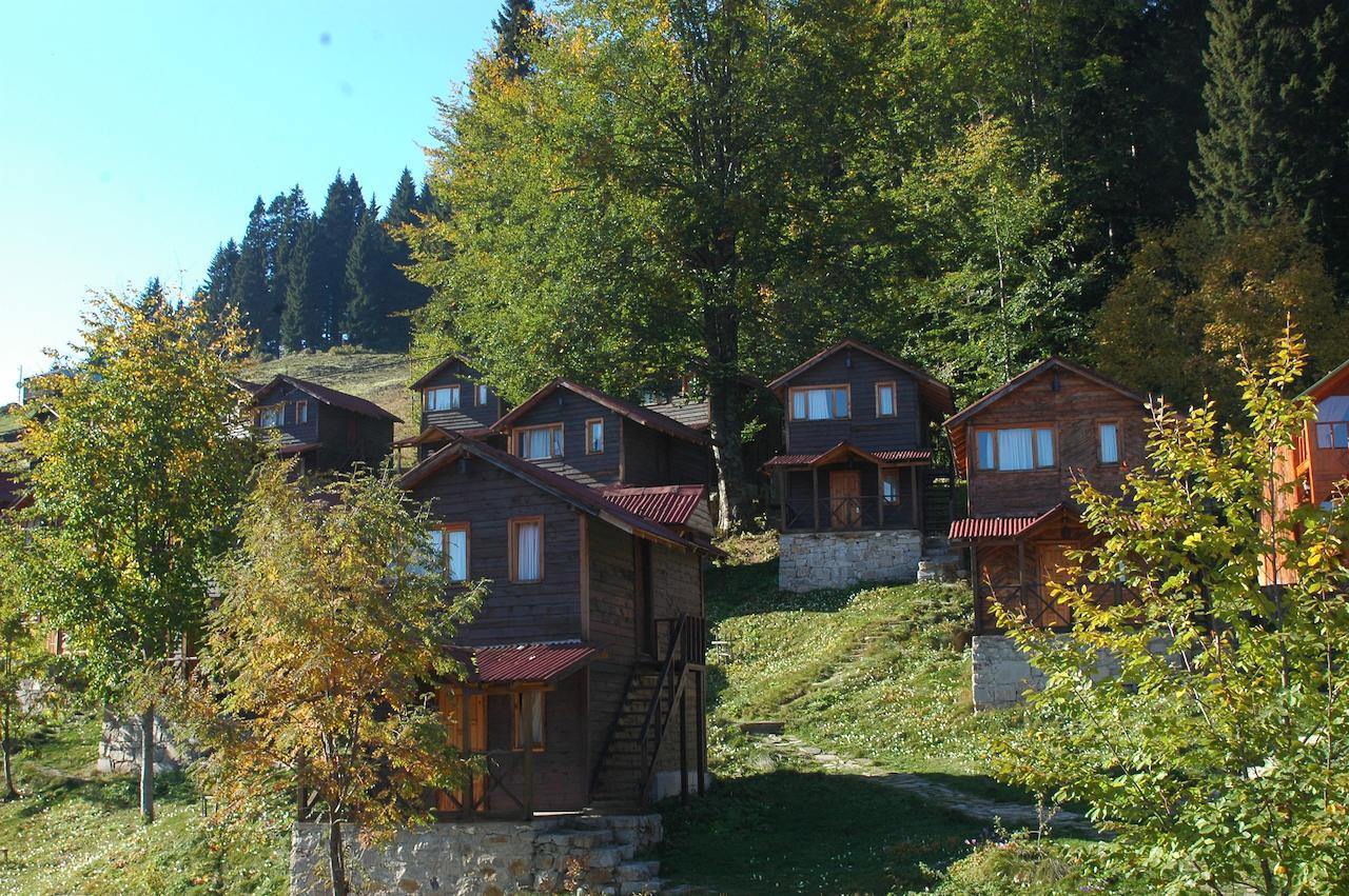 Zitas Zigana Yayla Tatil Koyu Macka 외부 사진