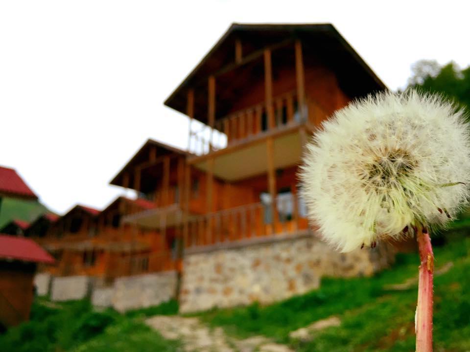 Zitas Zigana Yayla Tatil Koyu Macka 외부 사진